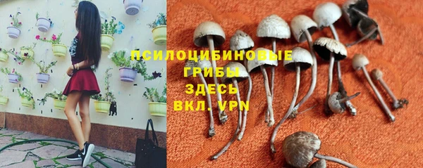 кокаин перу Алексеевка