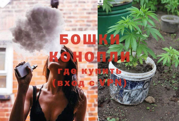 винт Алзамай