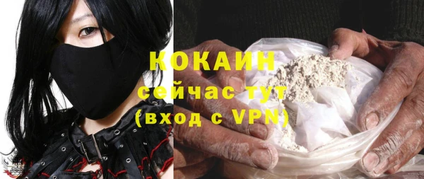 винт Алзамай