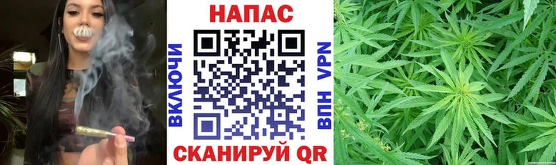 ссылка на мегу маркетплейс  Новодвинск  Канабис SATIVA & INDICA 